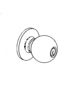 image may differ from picture
