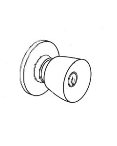 image may differ from picture