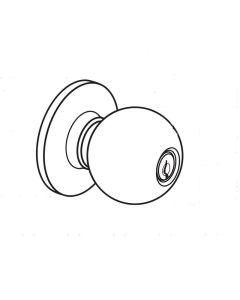 image may differ from picture
